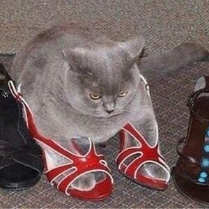 Vintage bags and other accessories